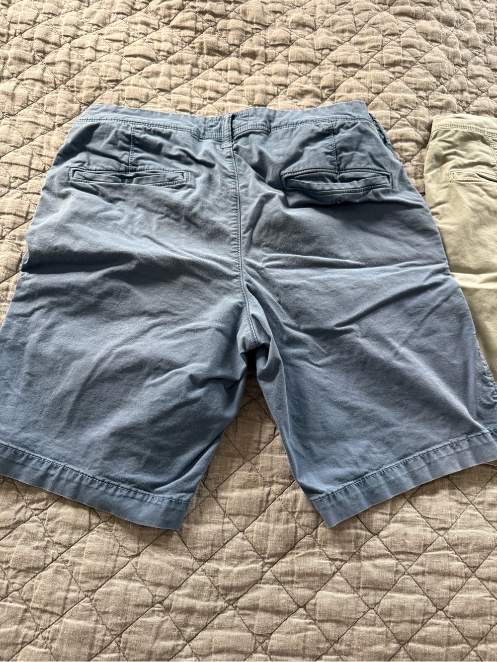 American Eagle Outfitters Men's Flat Front Shorts — Light Blue & Light Gray - Picture 9 of 11